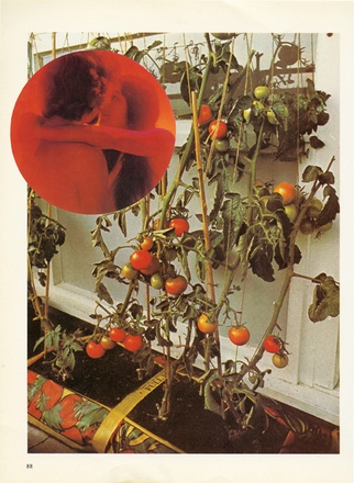 Wade Guyton, "The Tomato Lovers" (2006)
