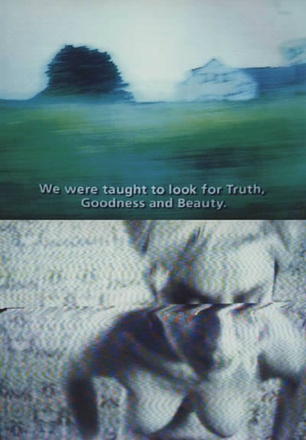 Pipilotti Rist, "We Were Taught…" (2002)
