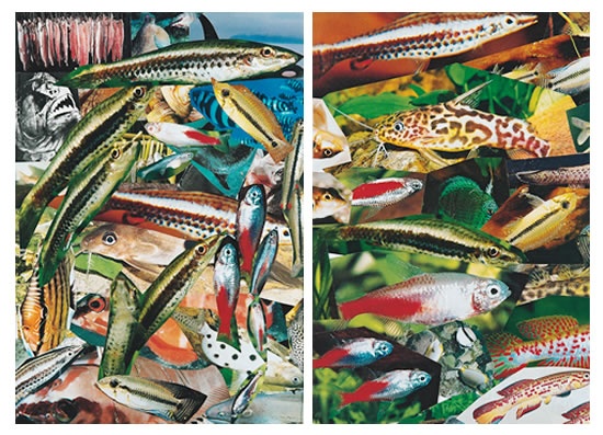 Isa Genzken, ""Aquarium 1" und "Aquarium 2"" (2001)
