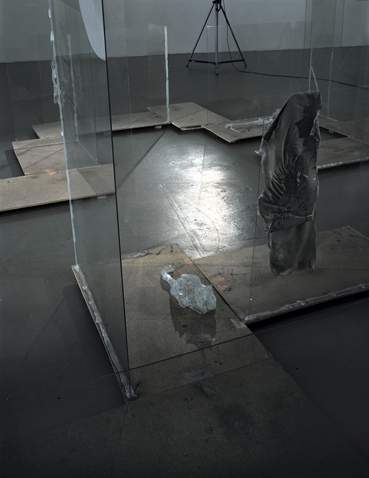 Urs Fischer, „Glaskatzensex – Transparent Tale“, 2000