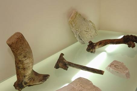 Khalil Rabah, "The Palestinian Museum of Natural History and Humankind", Installation View, Istanbul Biennale, 2005