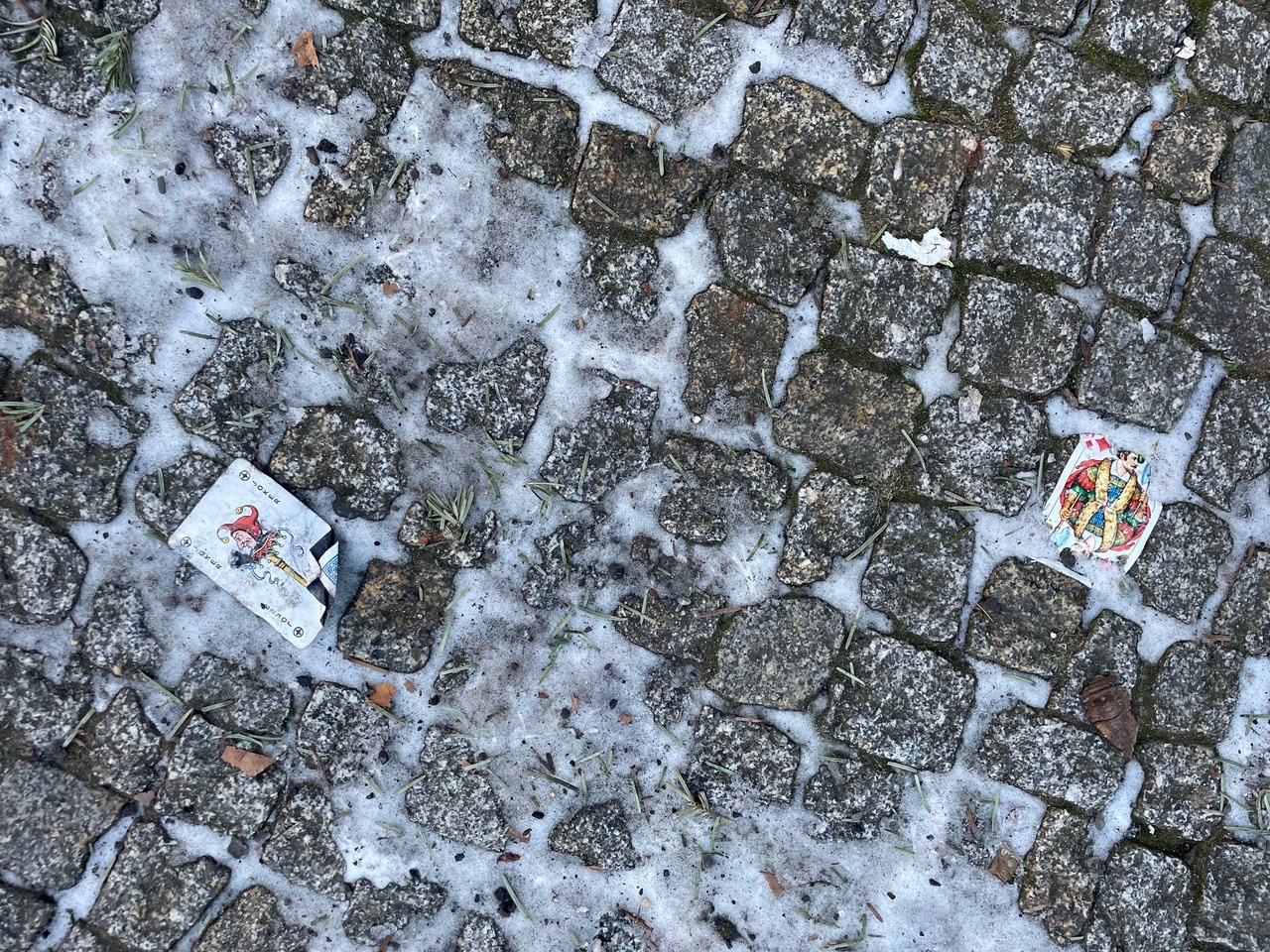 Annette Weisser, Berlin, 2025