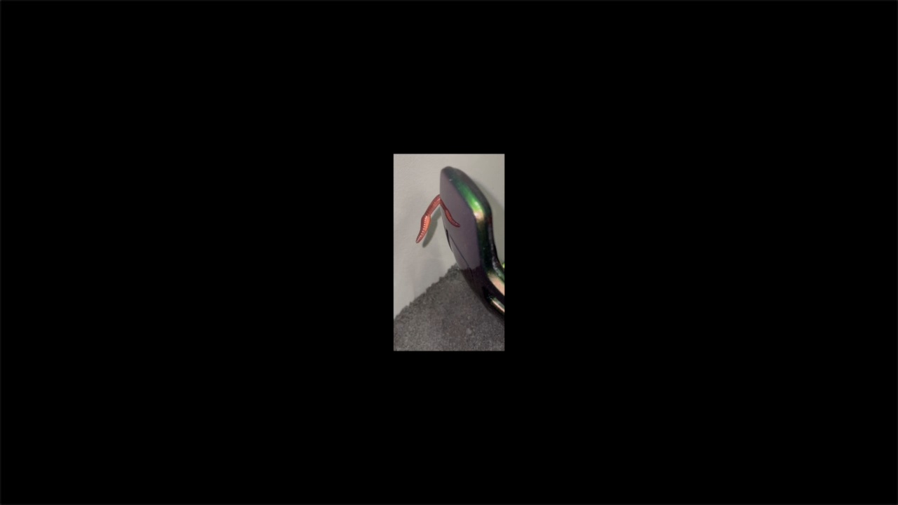 Emma Adler, „Veritas Vermibus“, 2024