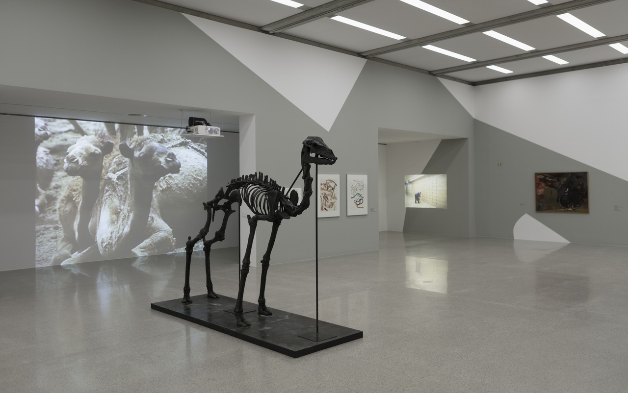 „Das Tier in Dir – Kreaturen in (und außerhalb) der mumok Sammlung“, mumok, Wien, 2022–23, Ausstellungsansicht / installation view