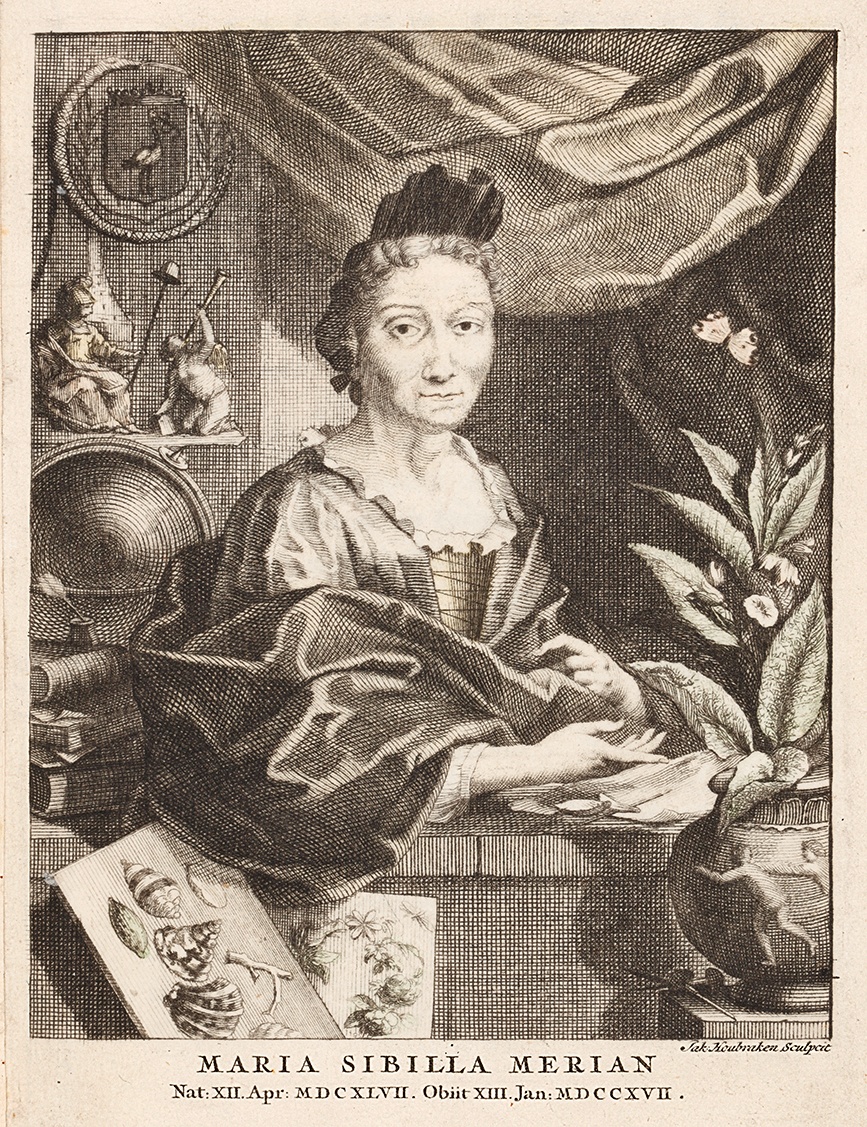 Jacobus Houbraken (nach Georg Gsell), „Bildnis Maria Sibylla Merian“, um 1717/18