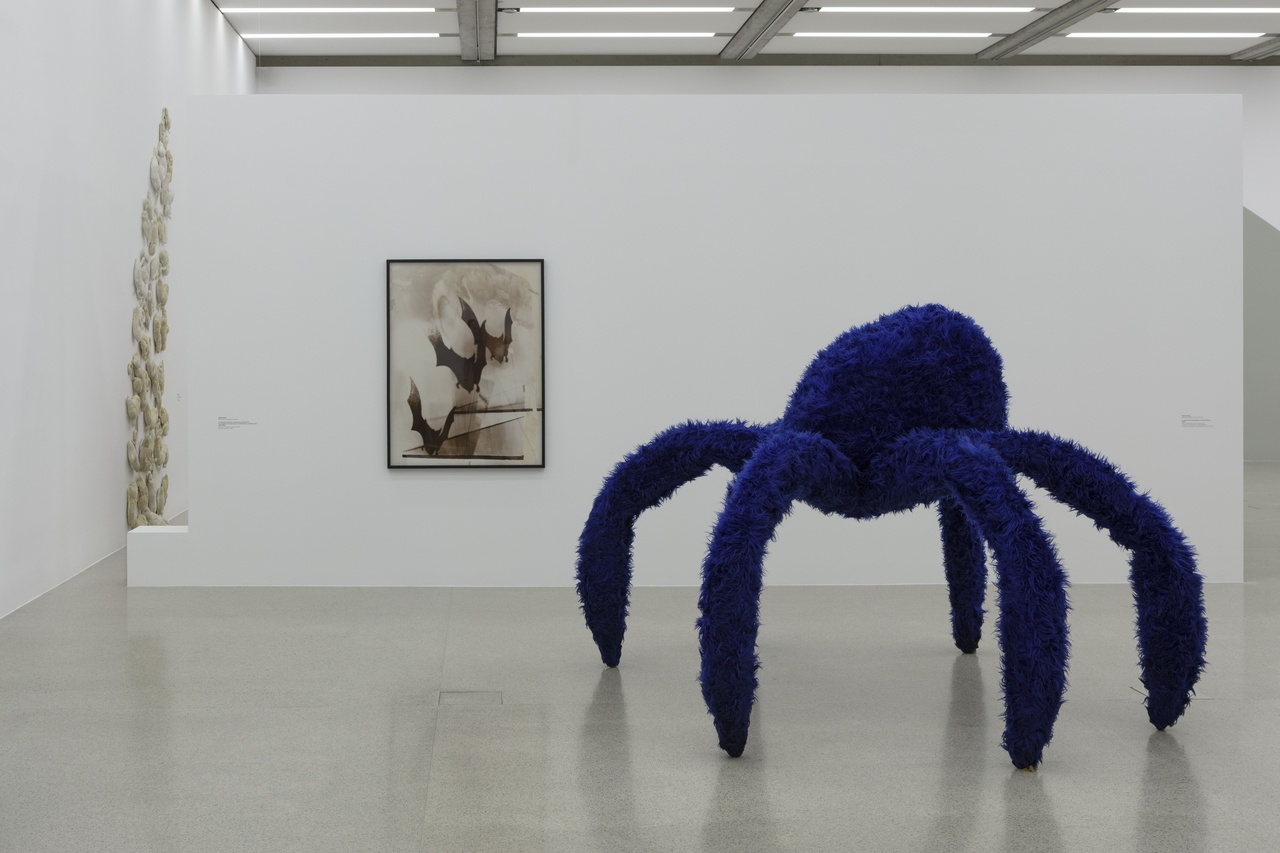 „Das Tier in Dir – Kreaturen in (und außerhalb) der mumok Sammlung“, mumok, Wien, 2022–23, Ausstellungsansicht / installation view
