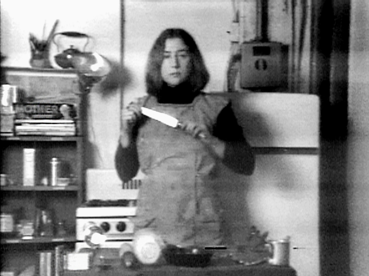 Martha Rosler, “Semiotics of the Kitchen,” 1975