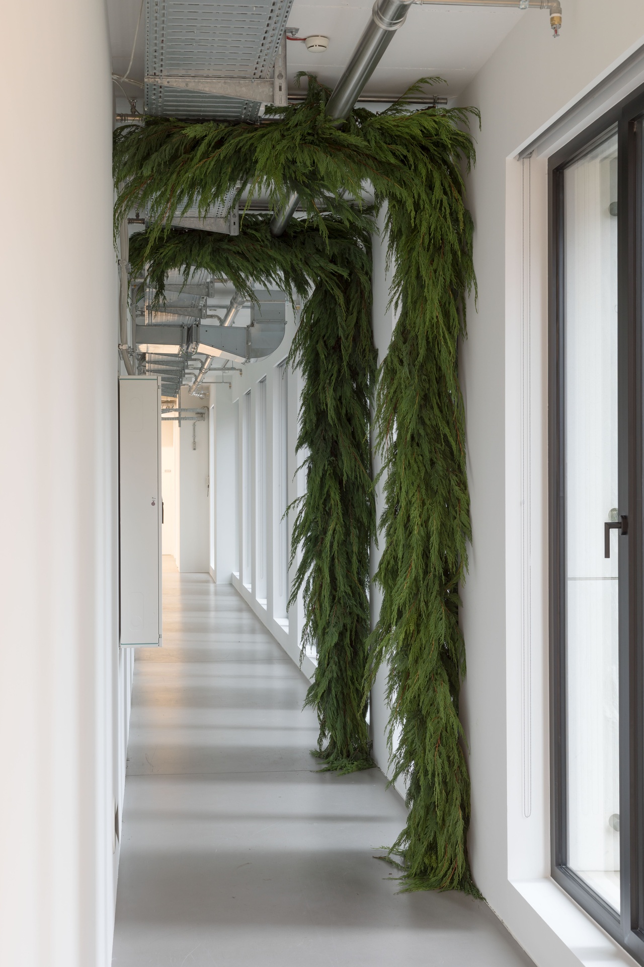 Trisha Donnelly,” Untitled,” 2025