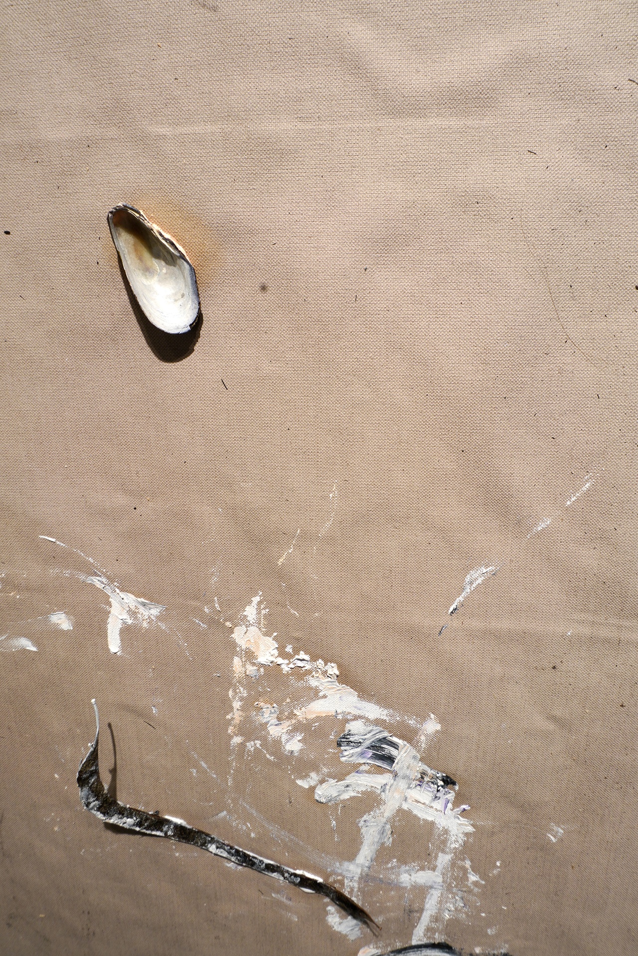 Asef-Burckhardt, “Oil and Discarded Matter on Canvas,” 2025