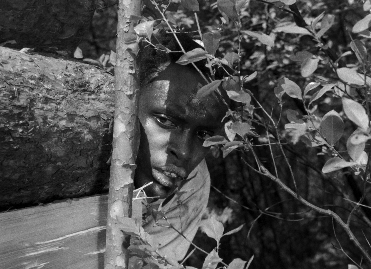 Ibrahim Shaddad, “Jagdpartie” (“Hunting Party”), 1964, film still