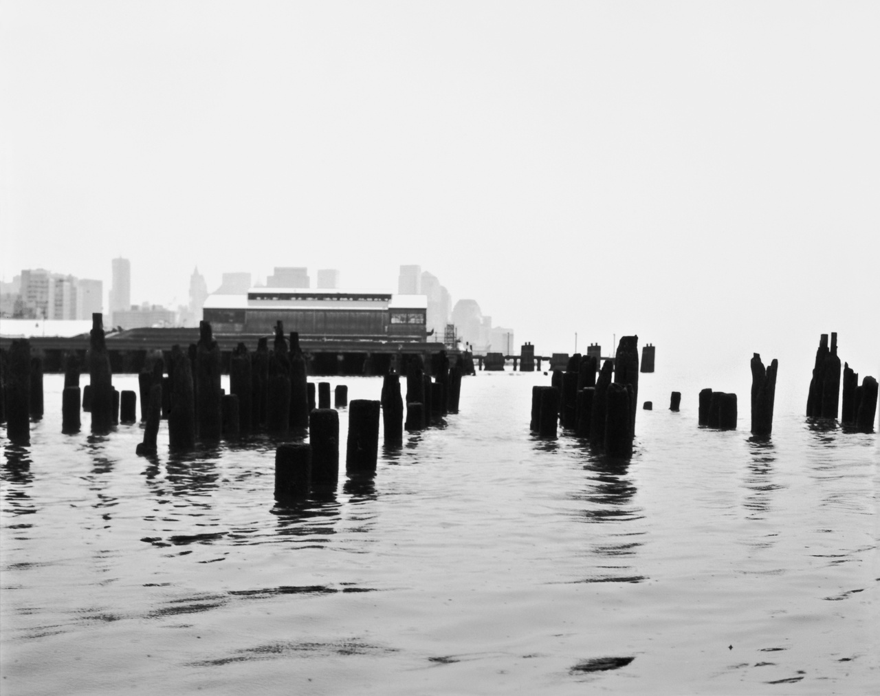 Emily Roysdon, „The Piers Untitled (#5)“, 2010