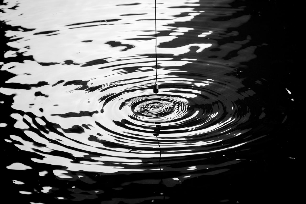 “Tomás Saraceno: Acqua Alta: En Clave de Sol,” 58th International Art Exhibition – La Biennale di Venezia, Venice, 2019, installation view