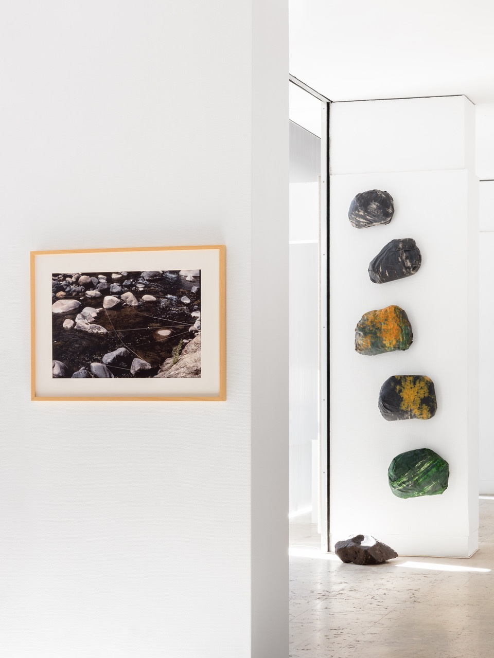 “Earthkeeping, Earthshaking - art, feminisms and ecology,” Galeria Quadrum, 2020, installation view
