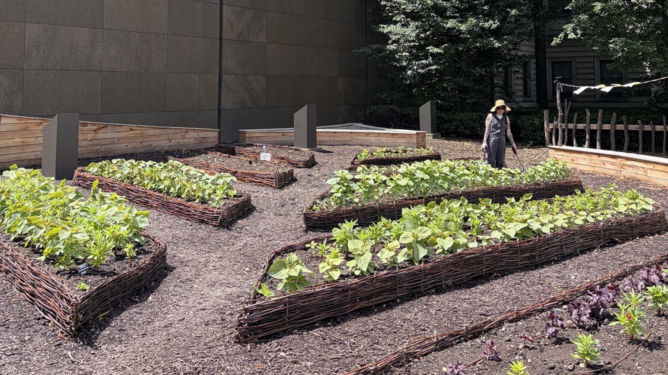 Ginger Brooks Takahashi, “Perilla People’s Garden,” 2026