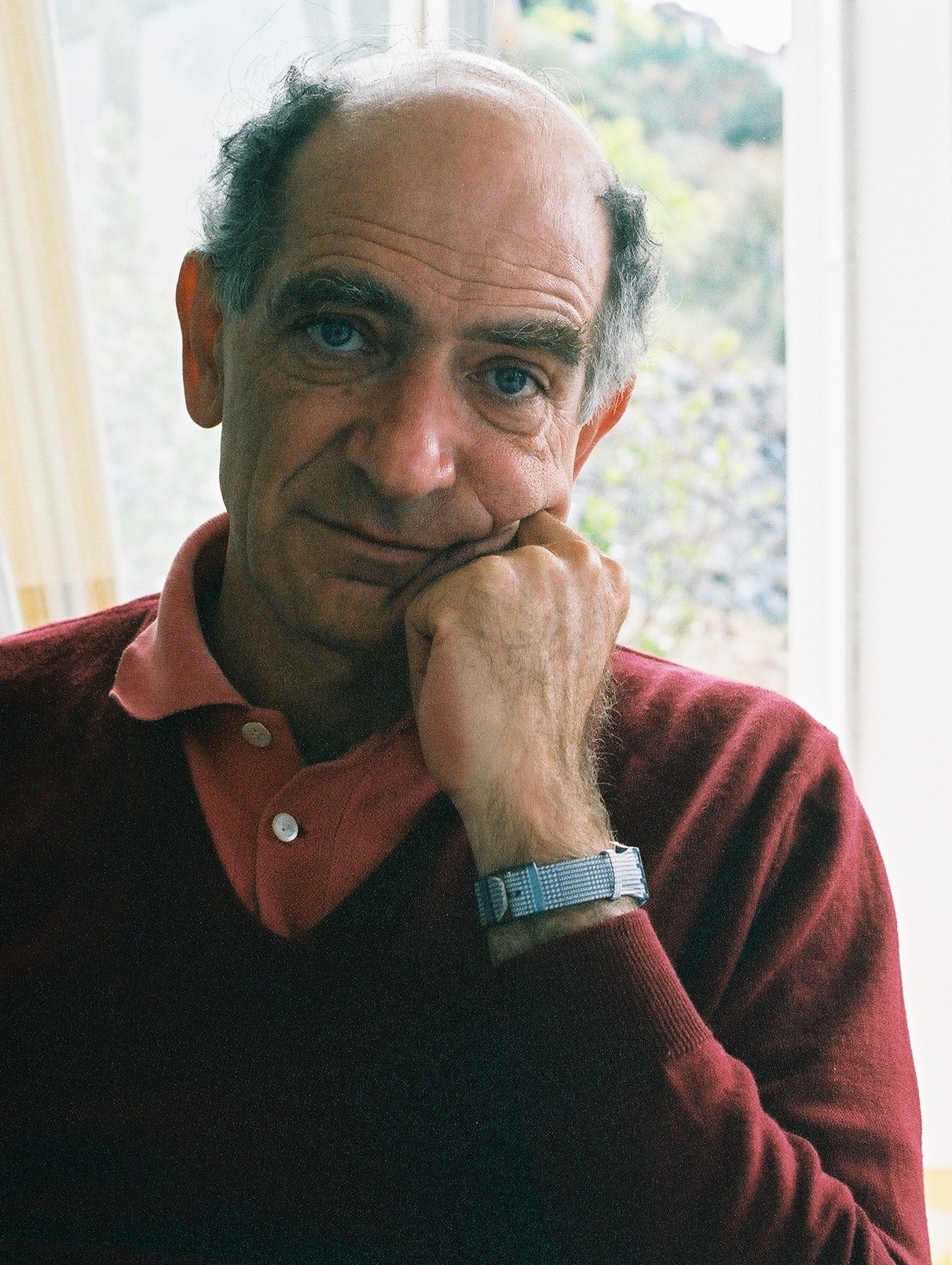 Paolo Virno, 2004