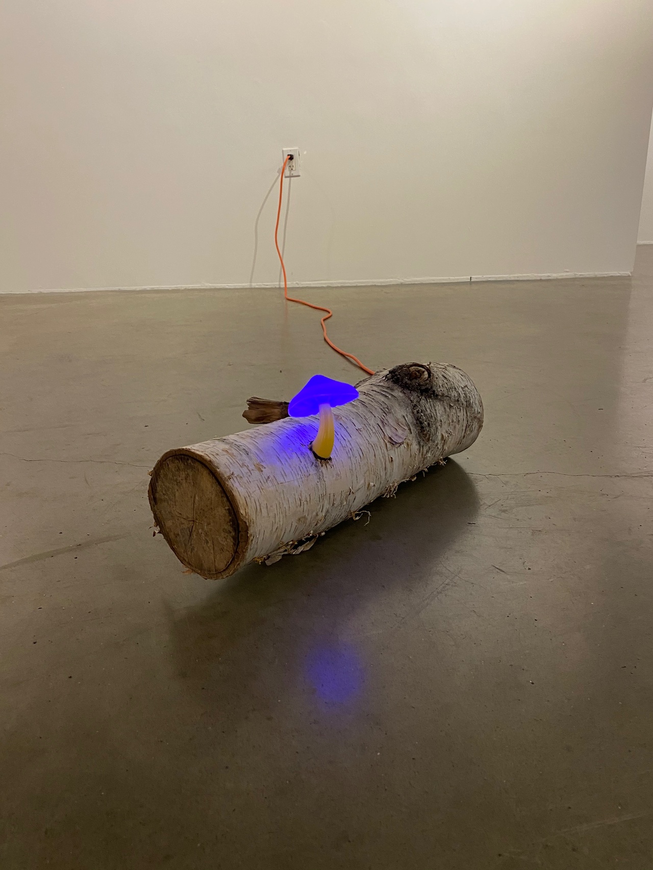 Justine Kablack, “Log Magic,” 2020.