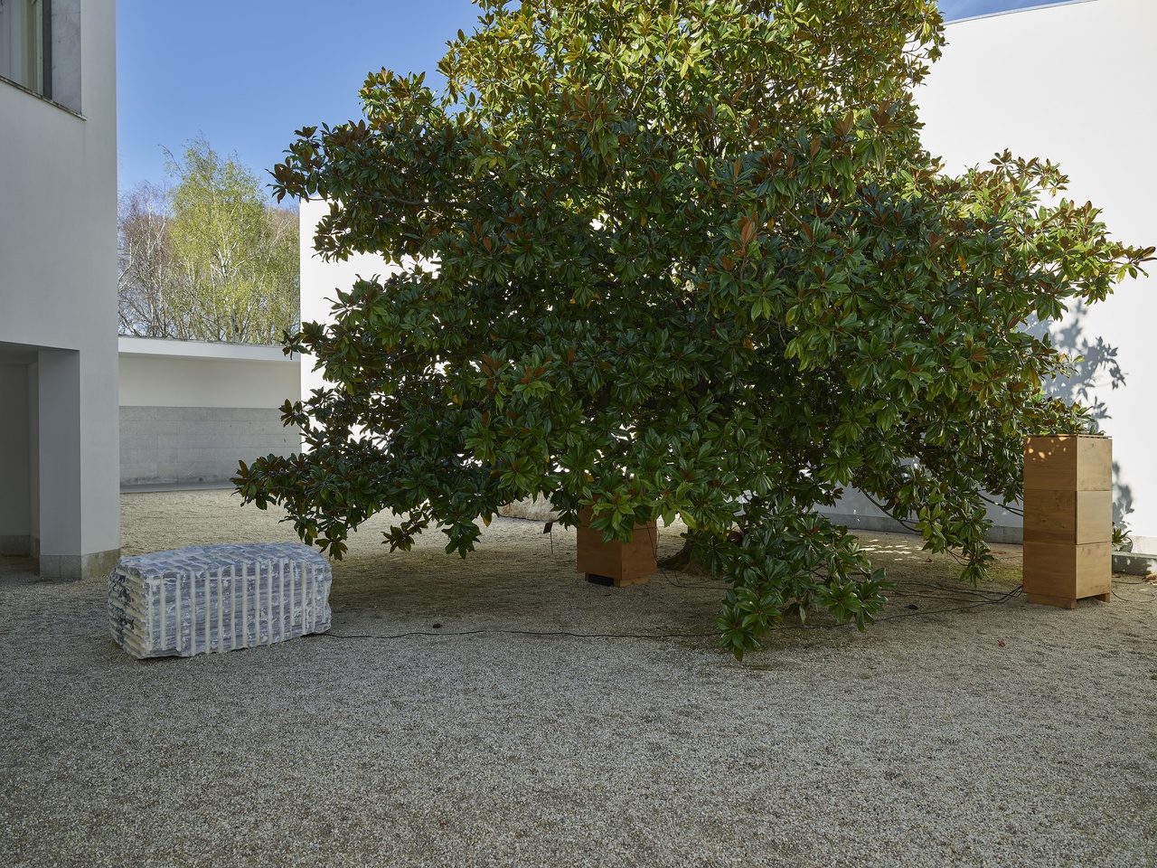 “Tarek Atoui: Waters’ Witness,” Serralves Museum of Contemporary Art, Porto, 2022, installation view