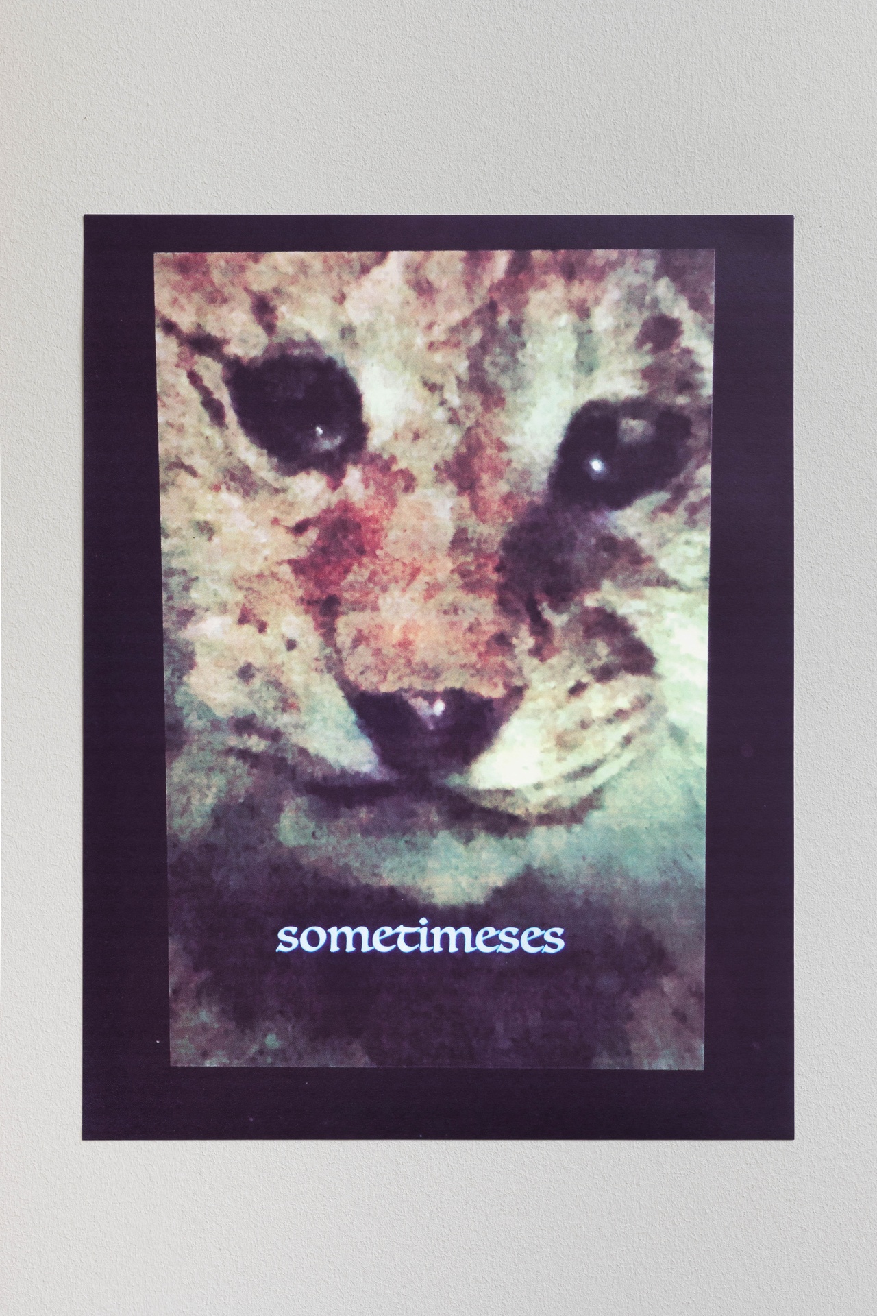 Trisha Donnelly, “Untitled,” 2018